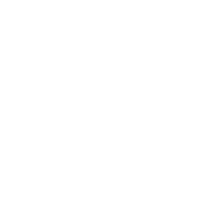 Yanagil Logo
